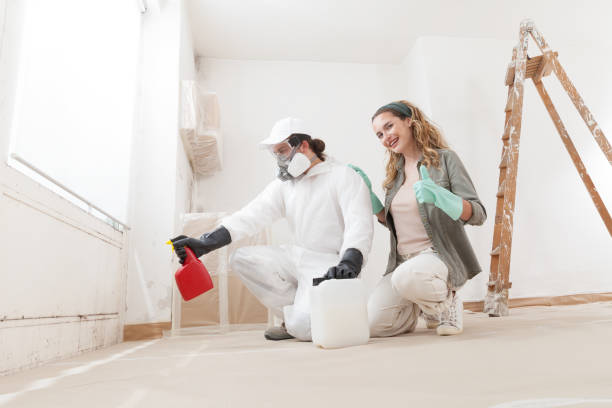 Mold Removal for HVAC Installations in Johns Creek, GA