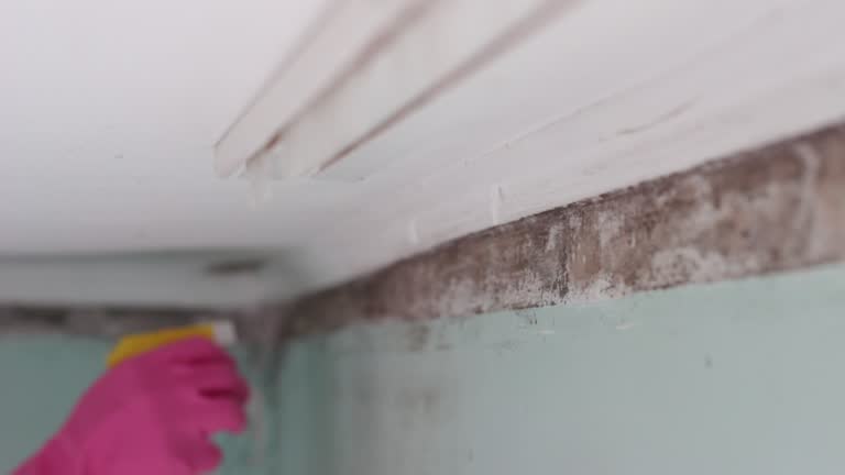 Best Residential Mold Inspection & Testing  in Johns Creek, GA